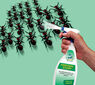 Sprej na hubení mravenců