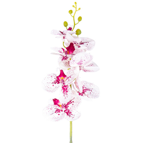 Umělá Orchidej vínová, 86 cm