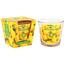 Arome illatgyertya üvegben Fresh Lemon, 120 g