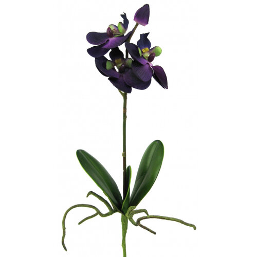 Umelá kvetina orchidej s listami a koreňmi 2 ks