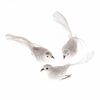 Set of Christmas decorations Birds on a clip, 3pcs, white