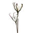 Umelá kvetina Strapatka biela