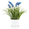 Sztuczny kwiat Szafir w doniczce, 28 x 10 x 10 cm