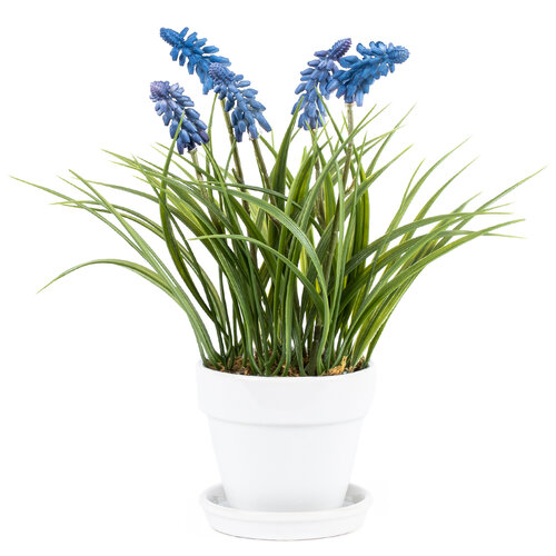 Sztuczny kwiat Szafir w doniczce, 28 x 10 x 10 cm