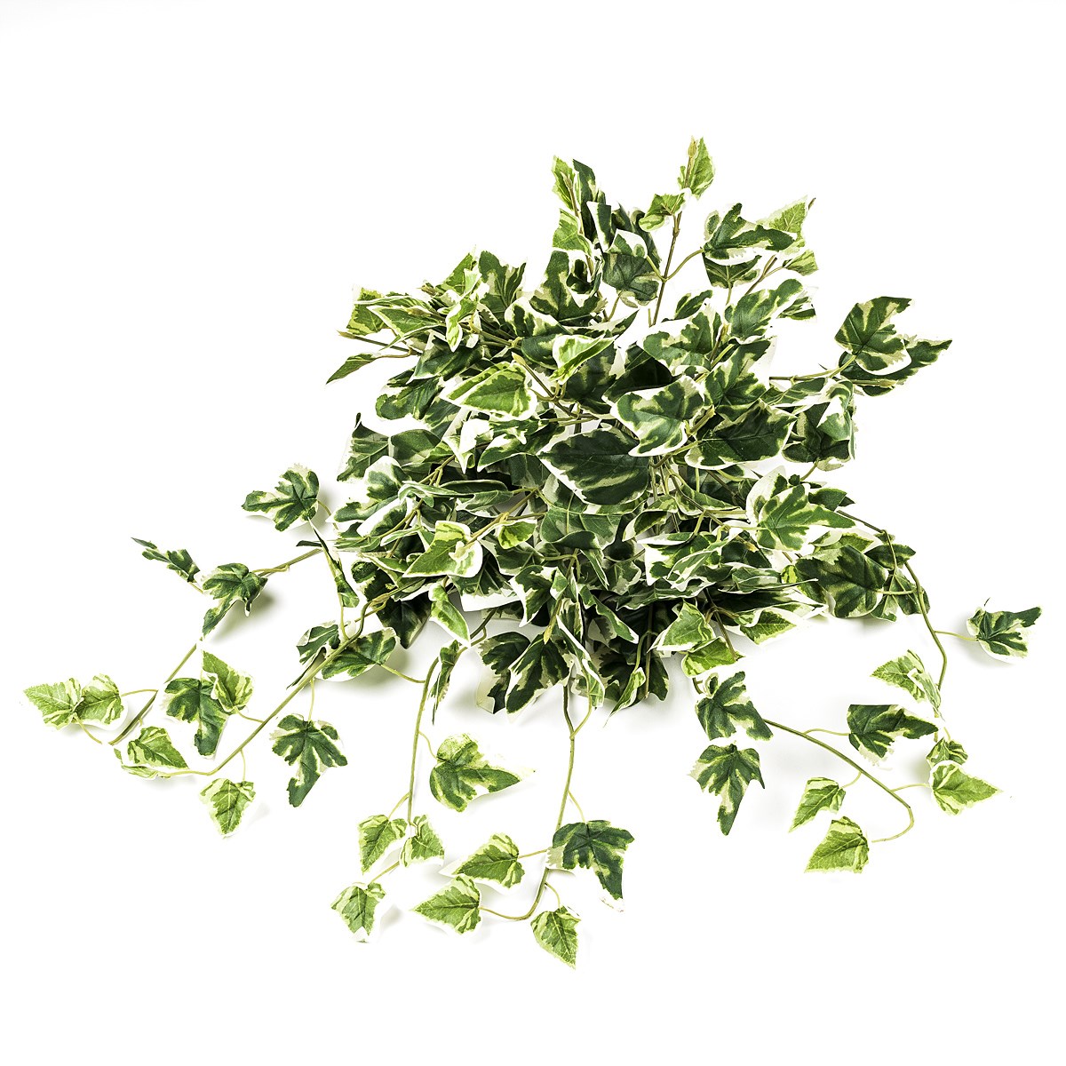 Umělý břečťan holandský, 60 cm, HTH