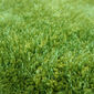 Kusový koberec Crazy 2200 Green, 120 x 170 cm