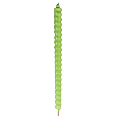 Zahradní svíce Citronella zelená, 100 cm