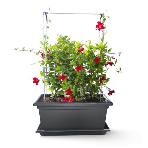 Gardenico függőleges támasz Zöld fal Magnus, 80 cm