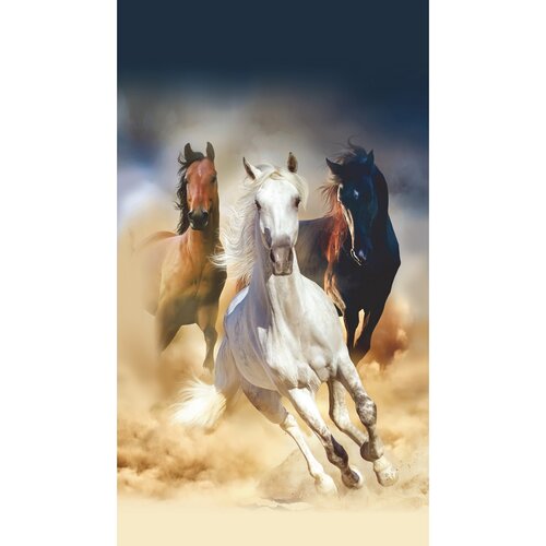 Tapeta fotograficzna pionowa Horses, 90 x 202 cm