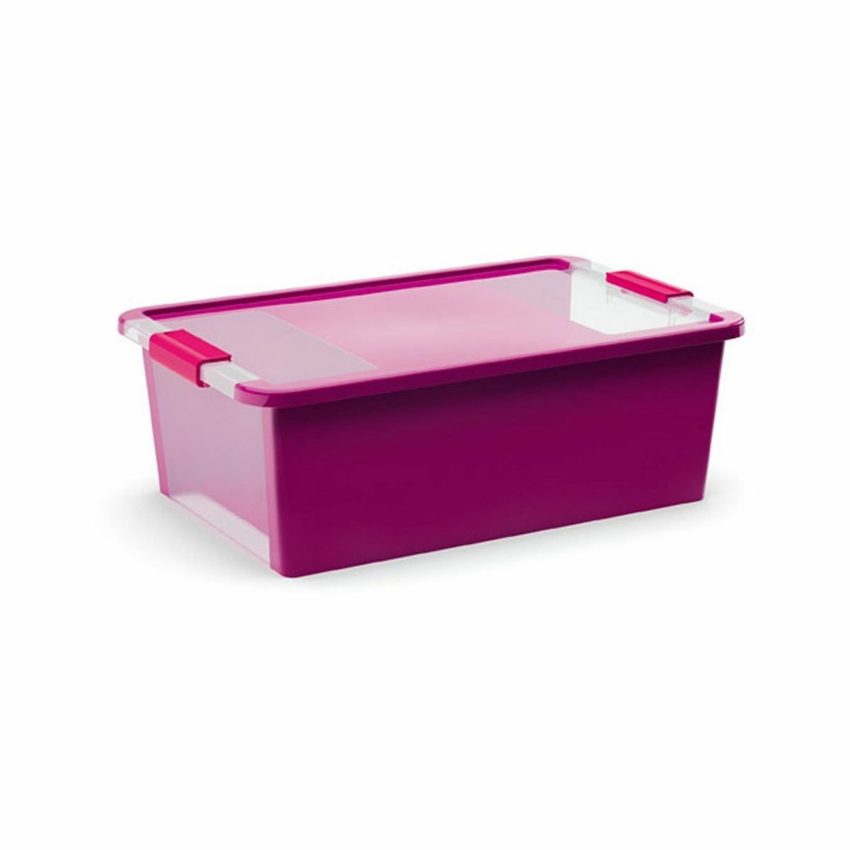 Úložný Bi box M, plastový 26 litrů průhledná/fialová
