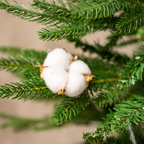 Декоративні головки з тополі, 12 шт
