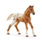 Schleich 42433 Аппалачські коні та аксесуари длятренувань, 7 шт.