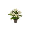 Umělá Lilie velkokvětá v květináči bílá, v. 30 cm