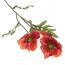 Kwiat sztuczny Wilczy mak 65 cm, czerwony