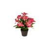 Sztuczna Lilia wielokwiatowa w doniczce różowy, wys. 30 cm