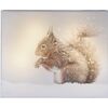 LED Obraz na plátně Animal and snow Squirrel, 20 x 25 cm