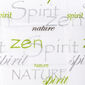 Sprchový záves Zen zelená, 180 x 180 cm