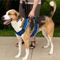 PetSafe Harness EasySport roșu S