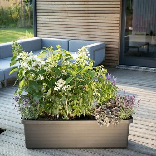 Plastia Samozavlažovací truhlík Berberis TRIO, antracit