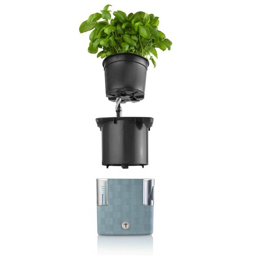 Flower Lover Pamudnik za zelišča Cobble modra, 14cm