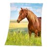 Pătură Horse Freedom, 130 x 160 cm