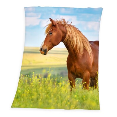 Herding Horse Freedom pléd, 130 x 160 cm