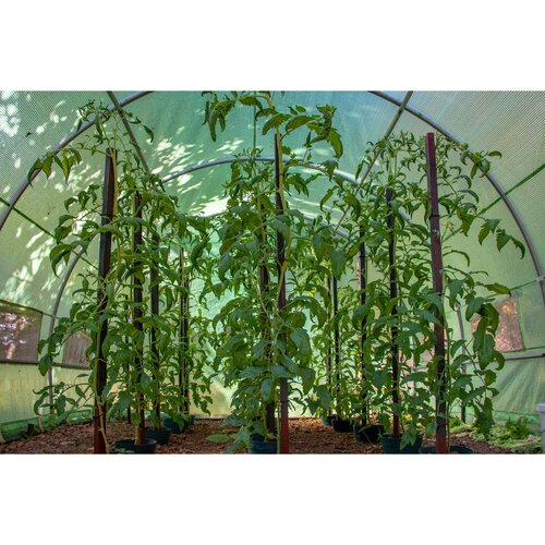 Folia G21 200 x 400 x 200 cm, zielona