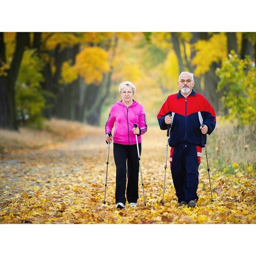 Nordic walking vycházkové hole antishock, stříbrná