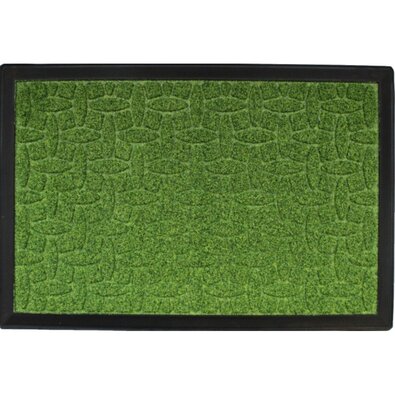 Domarex Pips Mat lábtörlő, zöld, 40 x 60 cm