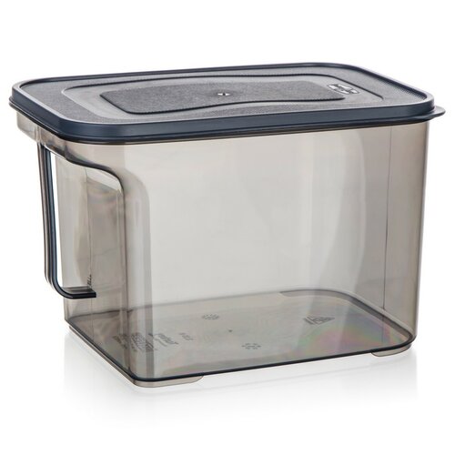 Banquet Vorratsdose mit Henkel ZOYA 3,25 l, rauch