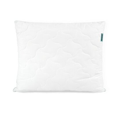 Wendre Kopfkissen Aloe Vera, 70 x 90 cm