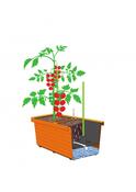 Plastia Jardinieră auto-udare Berberis DUO, ciocolată
