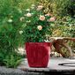 Lechuza Classico LS 35 plastový kvetináč samozavlažovací červená