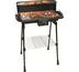 Elektrický barbecue gril Professor EGS 108 so stoj, čierna, 45 x 22 cm