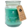 Arome Eucalyptus, & mint gyertya üvegben, 510 g