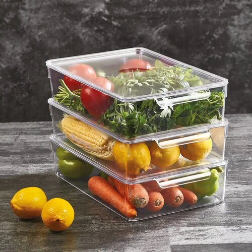 Orion UH organizator - košarica s pokrovomUrovnejTo za hladilnik 32,5 x 20 x 7 cm
