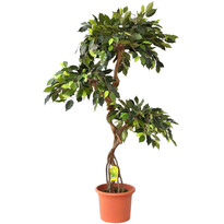Umelý strom Ficus exclusive, 140 cm Umelý strom Ficus exclusive, 140 cm