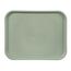 Orion Пластикова таця, 45,5 x 35,5 см, зелений