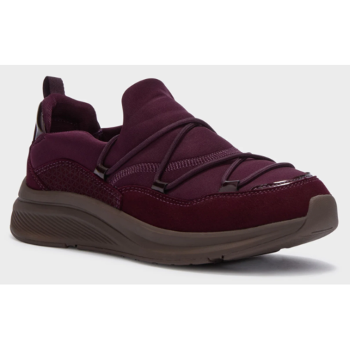 Scholl Neptune String športni copati, bordo, velikost 38