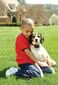 PetSafe® Obojek proti štěkání