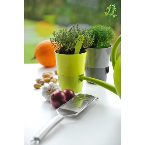 Plastia Selbstbewässerungstopf Rosmarin, grau