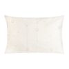 Bellatex VIOLA Csillag párna bézs, 40 x 60 cm