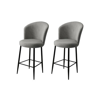 Barstuhl-Set Fora Grey, 2 Stück