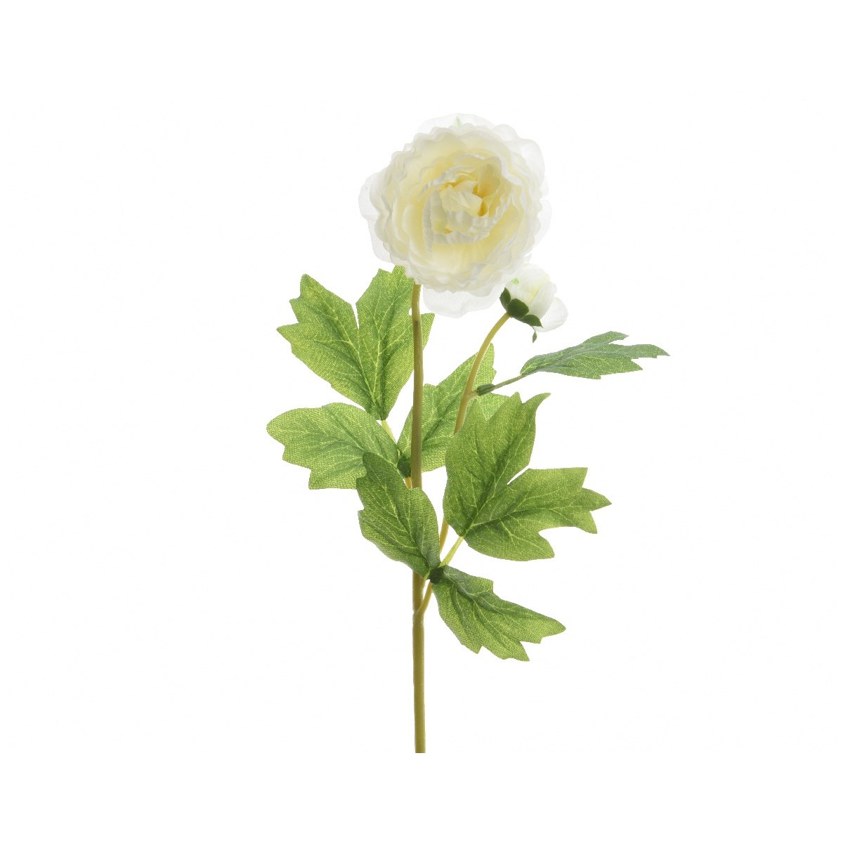Umelý Ranunculus biela, 57 cm
