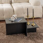 Konferenční stolek Harmony Wood Black