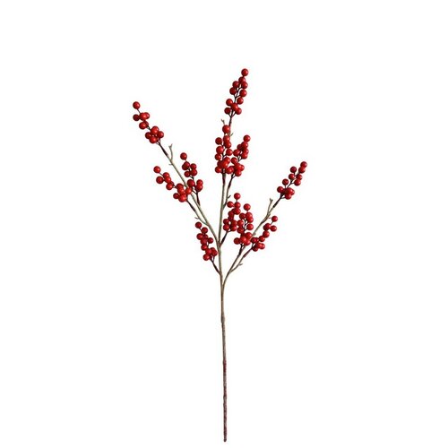Gałązka z czerwonymi jagodami