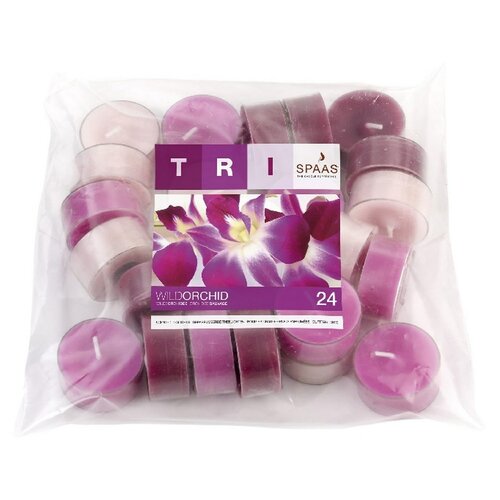 Čajové sviečky, TRI Wild orchid, 24 ks, Spaas