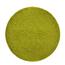 Kusový koberec Elite Shaggy zelená, priemer 160 cm