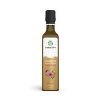 Green Idea Echinacea sirup trstinový, 250 ml Green Idea Echinacea sirup trstinový, 250 ml