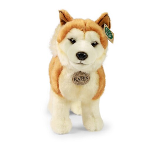 Rappa Plišasti pes Akita Inu 30 cm